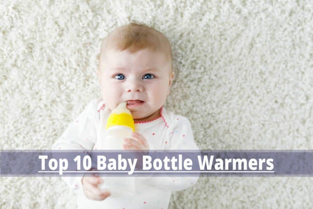 10 Best Baby Bottle Warmer Reviews and Buying Guide (2024)