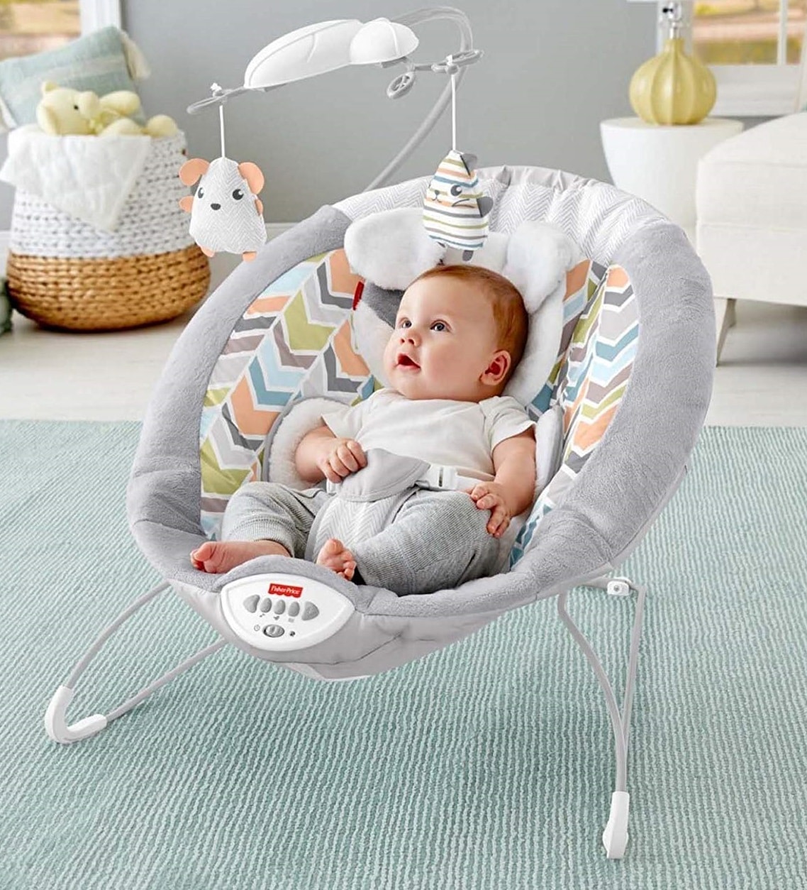 Fisher-Price My Little Snugapuppy Baby Bouncers