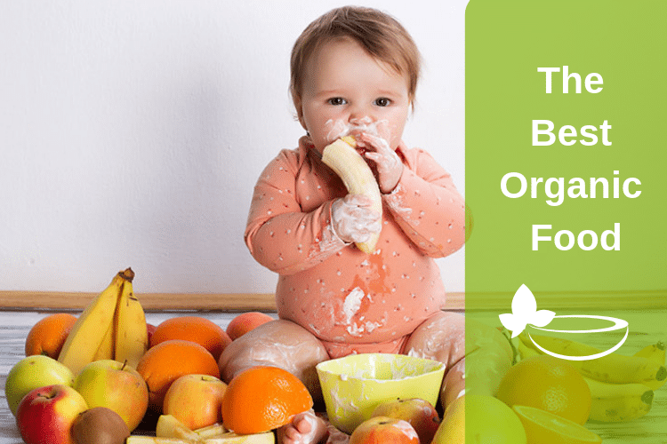 Give Your Baby The Best Organic Food