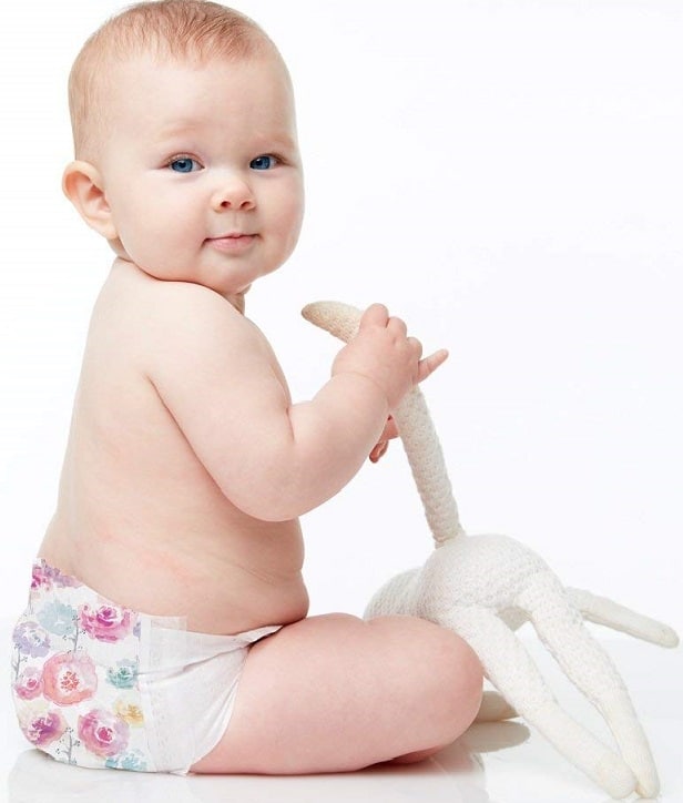 The Honest Company Baby Diapers