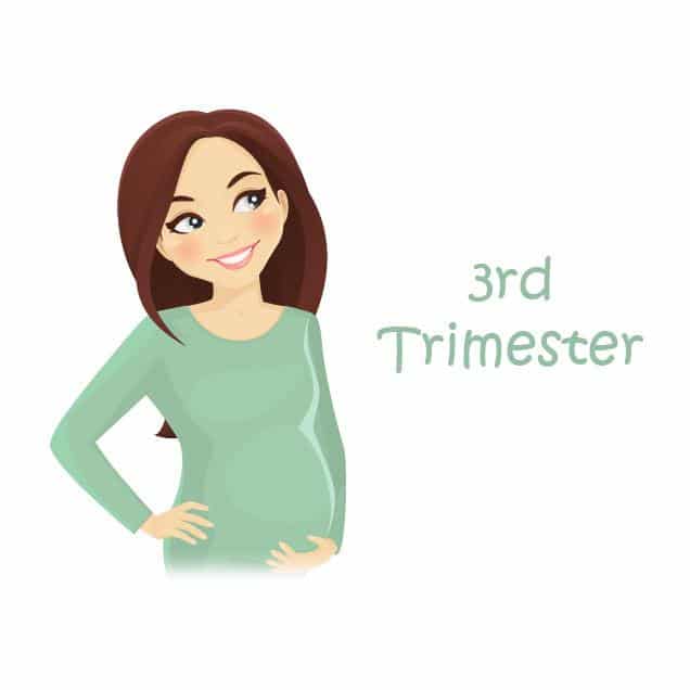 3rd-trimester
