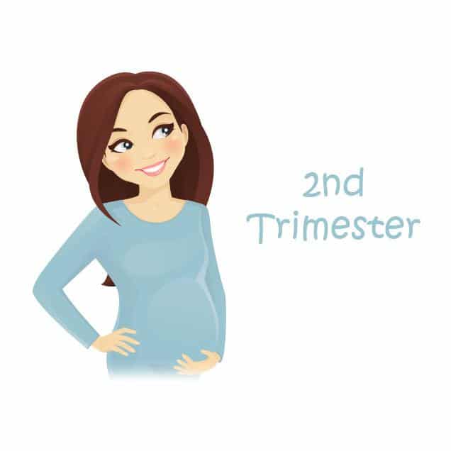 2nd-trimester