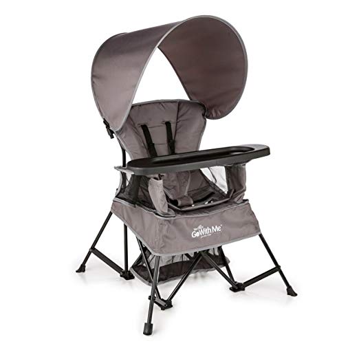 Baby Delight Go with Me Chair