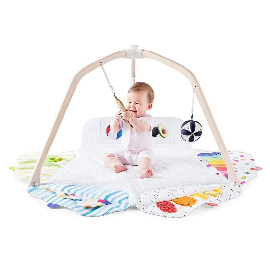 Play Gym