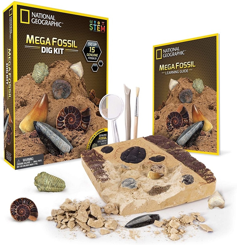 NATIONAL GEOGRAPHIC Mega Fossil Dig Kit