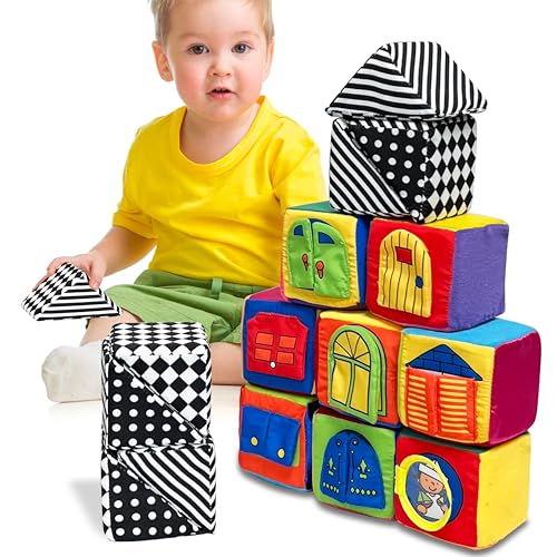 IQ Baby Small World Toys