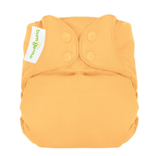 bumGenius Freetime Closure Cloth Diaper