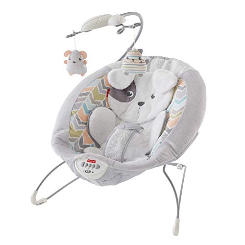 Fisher-Price My Little Snugapuppy Baby Bouncers