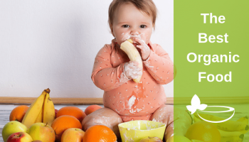 10 Best Organic Baby Food of 2024: A Mom’s Guide and Reviews
