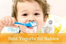 The 6 Best Baby Yogurt that Your Baby Will Love
