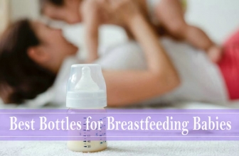 5 Best Bottles for Breastfed Babies 2024: A Mom’s Guide to Feeding Bottle