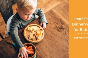 Lead-Free Dinnerware for Babies: 6 Dishes You Should Buy