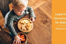 Lead-Free Dinnerware for Babies: 6 Dishes You Should Buy