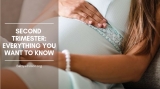 Second Trimester: Everything You Want to Know