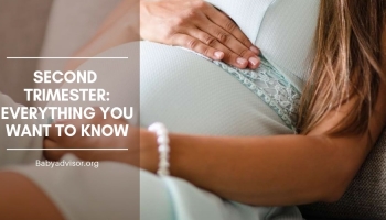 Second Trimester: Everything You Want to Know