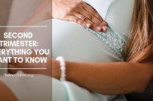 Second Trimester: Everything You Want to Know