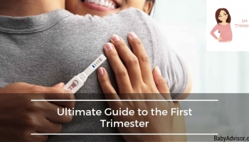Your Ultimate Guide to the First Trimester