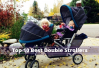10 Best Double Stroller Reviews & Buying Guide of 2024