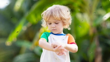 Natural Mosquito Repellent for Babies: 7 Top Choices in 2024